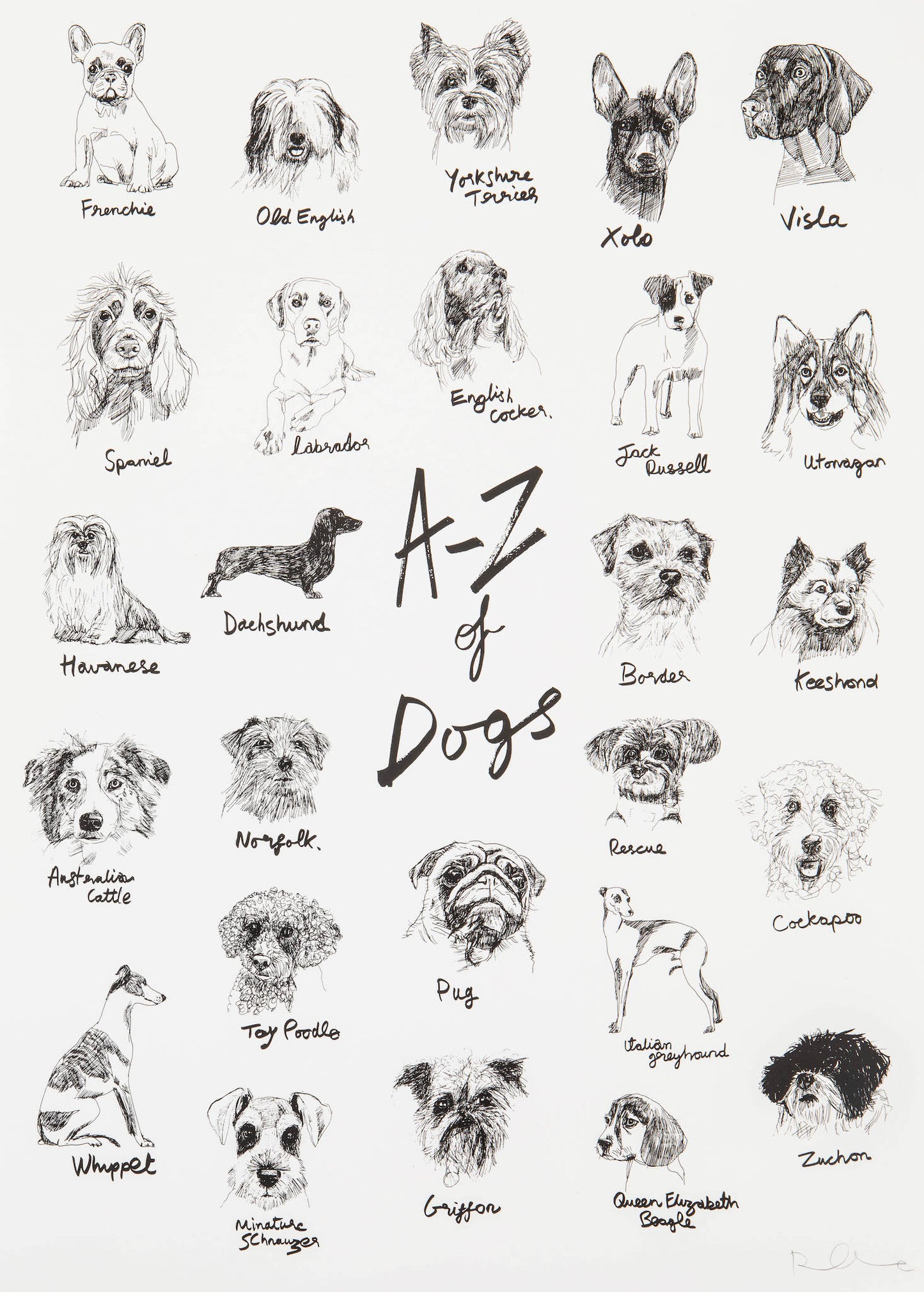 The A-Z of Dogs