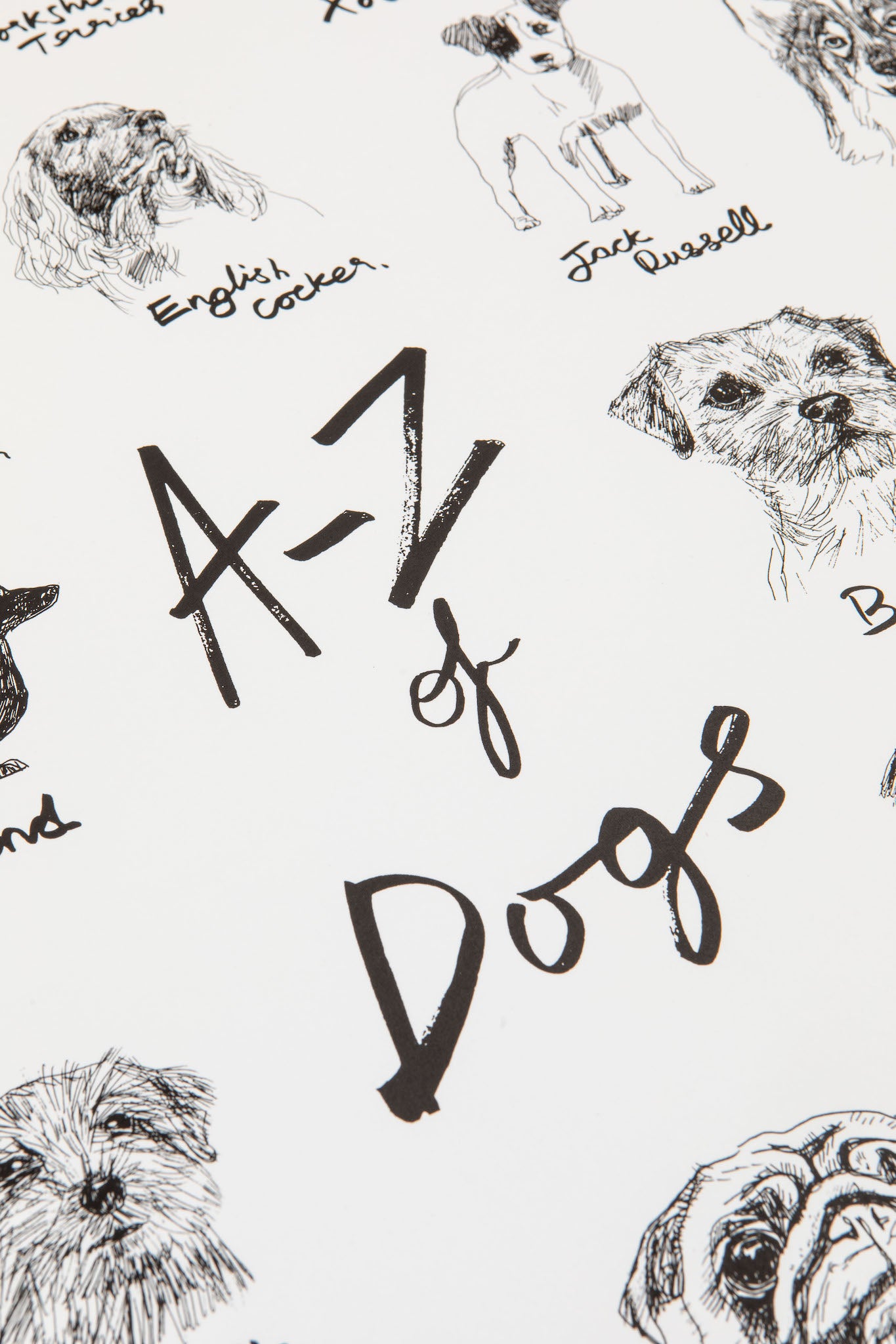 The A-Z of Dogs