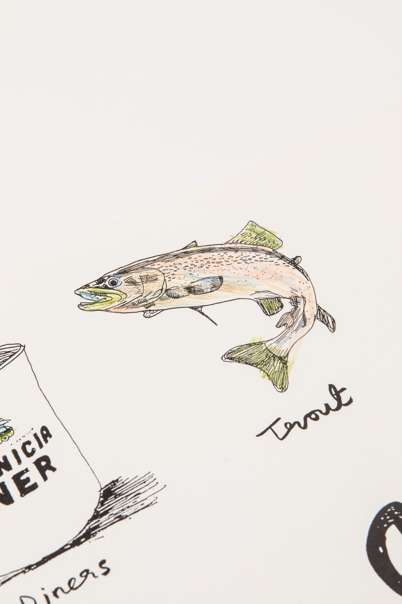 Upstate New York | Hand Colored Edition