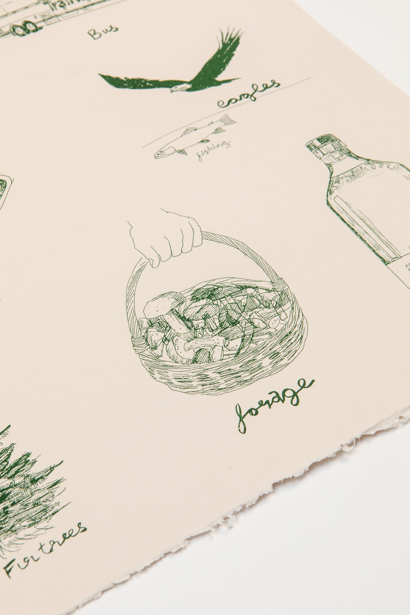 Upstate New York | Green Edition