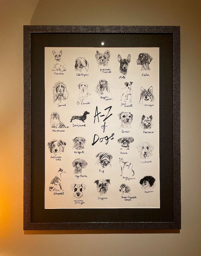 The A-Z of Dogs