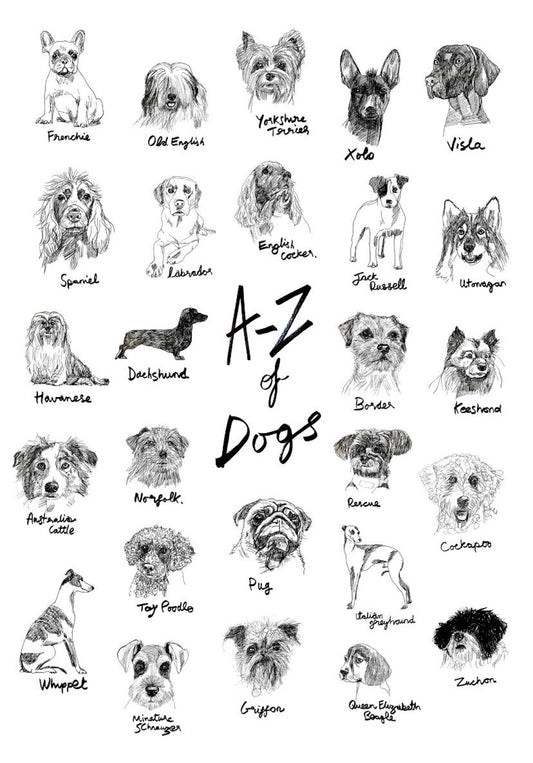 The A-Z of Dogs